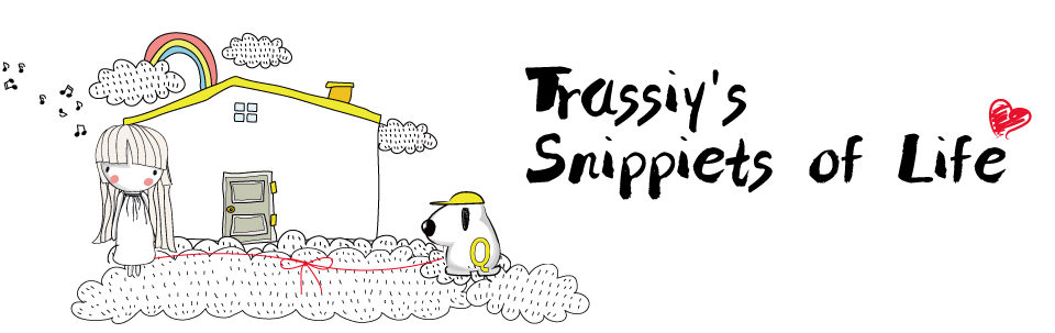 Trassiy's snippets of life