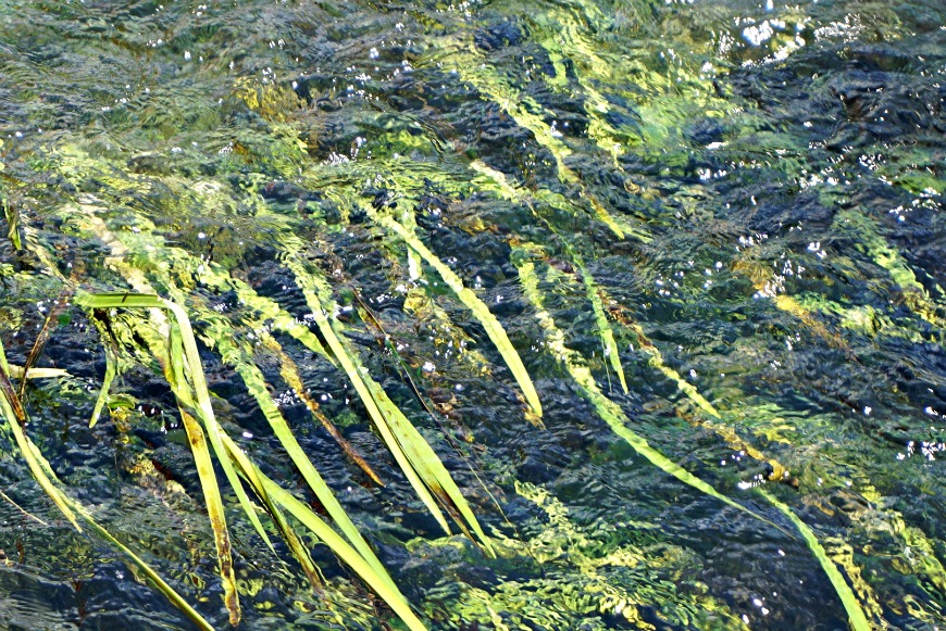 DSC04355